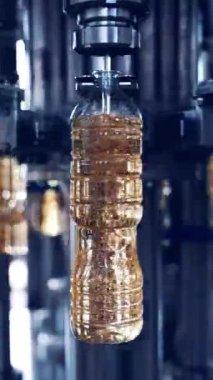 Plastik şişelere zeytin yağı dökülüyor. Fabrikada ayçiçeği yağı üretimi. Şişelerde yağ pişirip daire şeklinde taşıyıcıda hareket ediyor. Dikey video
