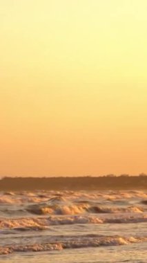Denizin üzerinde turuncu gün batımı. Köpüklü deniz dalgaları akşamları kumlu kıyıları yıkar. Deniz kenarında yiyecek arayan martılar var. Dikey video