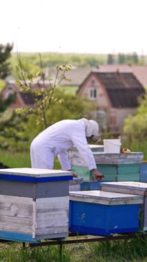 Ormanın ve köyün yakınında ahşap kovanları olan küçük bir arı çiftliği. Koruyucu elbiseli ve şapkalı adam kovanlarını kontrol ediyor. Dikey video