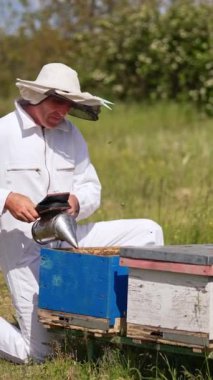 Arı kovanının yanında diz çöküp sigara içen meşgul arıcı. Kızgın arılar etrafını sardı. Bulanık doğa arkaplanı. Dikey video