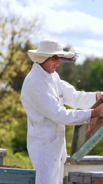 Beyaz elbiseli Apiculturist arı çiftliğinde çalışıyor. Etrafta uçuşan arıların arasında çalışan bir adam. Dikey video