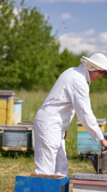 Beyaz elbiseli adam arılara karşı sigara içiyor. Böcekler apikürcünün etrafında toplanıyor. Bulanık doğa arkaplanı. Dikey video