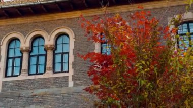 Eski moda malikanenin yanında renkli kırmızı ve yeşil ağaçlar büyüyor. Kemerli pencereli tuğla binanın içi..