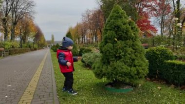 Bebek parkta çalılara dokunuyor. Sonbaharda doğada yürüyen tatlı bir çocuk..