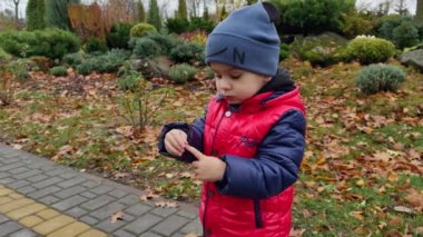 Parkta güzel, barışçıl, şapkalı, kırmızı ceketli bir beyaz çocuk var. Bebeğim sonbahar parkında yürüyor..