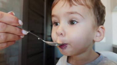Güzel erkek bebek kaşıktan yulaf lapası yiyor. Bebek böğürtlen topluyor ve ağzına koyuyor. Kapat..