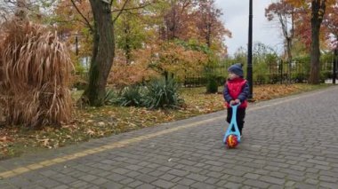 Kırmızı ceketli tatlı bebek parka giriyor. Sonbaharda yürüyüşünde oyuncak olan sevimli bir çocuk..