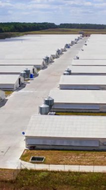 Çiftlik hayvanları çiftliğinin dışında. Çağdaş beyaz çiftlik binaları yazın tarlada. Kırsal kesimde tarım işi. Yavaş uçuş. Dikey video