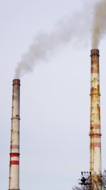 Duman emisyonlu borular. Bitki boruları atmosferi kirletir. Zararlı gazlı bacalar. Doğada boruları ve kalın duman bulutlarıyla endüstri bölgesi. Dikey video