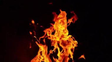 Ateş dilleri havaya yükseliyor. Kara zeminde izole edilmiş şenlik ateşi. Kapat..