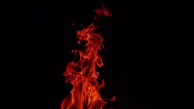 Havaya yükselen uzun şenlik ateşi alevi. Siyah arkaplanda sıcak ateş izole edildi.