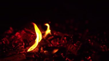 Küçük alevleri yanan kömürler. Közler hareket eder ve küçük kıvılcımlar uçuşur. Kapatın. Siyah arkaplan.