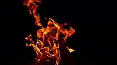 Yığınla odun parçası şenlik ateşinde yanıyor. Geceleri kamp ateşi yanıyor..