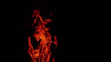 Geceleri rüzgarda salınan şenlik ateşi alevi. Kızgın ateş dilleri uzanıyor. Siyah arkaplan.