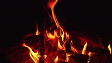Şenlik ateşinde yanan odunların büyüleyici manzarası. Kamp ateşinde yanan kırmızı közler parlıyordu. Kapat..