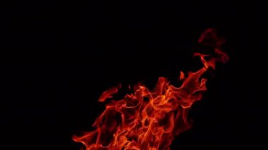 Alevlerin turuncu dilleri havaya yükseliyor. Siyah arka planda tehlikeli şenlik ateşi yanıyor.