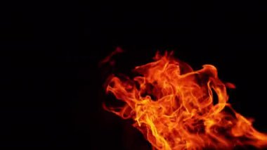 Yere doğru eğilen kırmızı tehlikeli ateş. Kamp ateşi siyah arka planda izole bir şekilde yanıyor. Kapat..