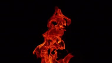 Karanlıkta hareket eden büyüleyici ateş alevleri. Kamp ateşi siyah arka planda izole edilmiş..