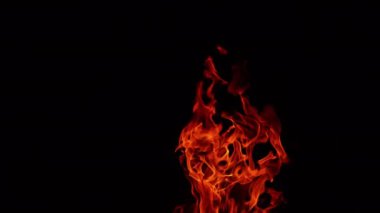 Yanan kamp ateşinin üst kısmı. Havaya uzanan güzel ateş alevleri. Siyah arkaplan.