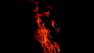 Şenlik ateşi karanlıkta yayılıyor. Siyah arkaplanda yanan yangın izole edildi.