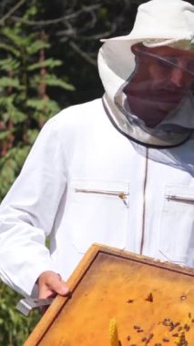 Açık havada koruyucu giysili arı yetiştiricisi. Arı yetiştiricisi yaz günü arılar üzerinde çalışıyor. Beyaz üniformalı ve şapkalı bir adam yeşil arka planda arı kovanının yanında. Dikey video