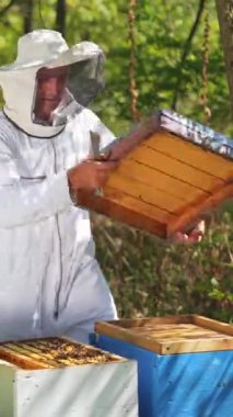 Ormandaki Apiary. Koruyucu takım elbiseli arı yetiştiricisi ve güzel yeşil doğa arasında incelenen kovanlar. Arı kovanlarının yakınında çalışan bir erkek arıcı. Dikey video