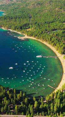 Tahoe Gölü 'ndeki sayısız tekneye daha yakın uçuyorlar. Sahili aşan çam ağaçları. Güneşli bir günde hava perspektifi. Dikey video