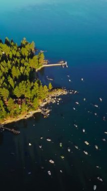 Tahoe Gölü 'nde güneşli güzel bir sabah. Bir sürü tekne ve yat bu güzel ormanlık sahilin yanındaki çapanın üzerinde duruyor. Üst Manzara. Dikey video