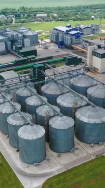 Kırsal kesimde çelik tahıl terminalleri. Tarım ürünlerini yeşil alanda tutmak için modern ambar. Havadan bak. Hareket kamerasının üstünü indir. Dikey video