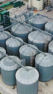 Sahada çelik gibi yuvarlak asansörler. Tarımsal ürünleri depolamak için tahıl kapları. Hasat için büyük bir ambar. Tarım işi. Üst Manzara. Dikey video