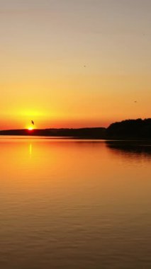 Nehir batan güneşte. Akşam nehrinin üzerinde güzel turuncu gün batımı. Kuşlar suyun üzerinde uçuyor. Kamera geri gidiyor. Hava görüntüsü. Dikey video
