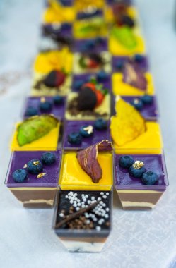 Her biri farklı renklerde kremlerle kaplı ve meyveler ve diğer dekorasyonlarla kaplı küçük tatlılar..