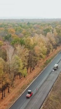 Ormandaki asfalt yolun havadan görünüşü. Arabalar sonbahar ağaçlarının arasında yolun bir tarafında ilerliyorlar. Sonbahar ormanlarında yolculuk.