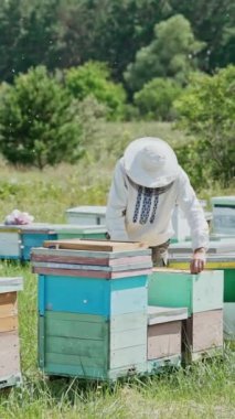 Arı yetiştiricisi arılarla ve arı kovanlarıyla çalışıyor. Arılar bal peteğinde. Arı kovanının çerçeveleri. Arıcılık. Tatlım..