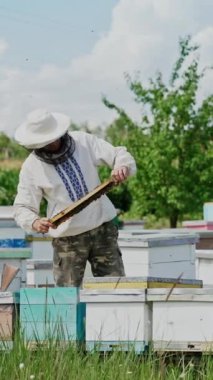 Arıcı iş başında. Arı kovanının çerçeveleri. Apiary kavramı