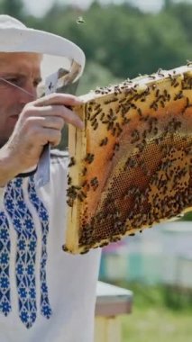 Arı yetiştiricisi arılarla ve arı kovanlarıyla çalışıyor. Arılar bal peteğinde. Arı kovanının çerçeveleri. Arıcılık. Tatlım..
