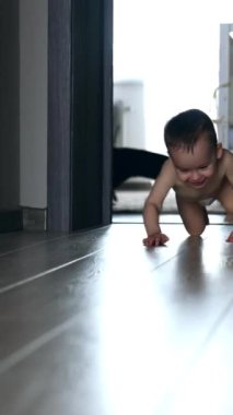 Bebek bezli, gülümseyen sevimli bebek odada emekliyor. Kara kedi çocuğu takip ediyor. Dikey video