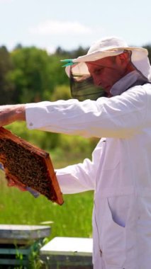 Beyazlar içindeki bir akrobat, bal çerçevesine dikkatlice bakar. Yan görüş. Yaz günü doğa arka planı. Dikey video