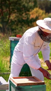 Beyaz koruyucu kıyafetli ve şapkalı bir adam metal bir aletle kovanın kapağını açıyor. Arıcı organik çiftliğini kontrol ediyor. Dikey video
