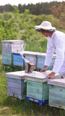 Beyaz elbiseli bir Apiarist çiftlikteki arı kovanlarını kontrol ediyor. Şapkalı adam arı kovanlarının kapaklarını açıyor. Yeşil orman arka planda. Dikey video
