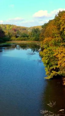 Nehir kıyısındaki sonbahar ormanında renkli ağaçlar. Aile rıhtımda piknik yapıyor. Ormandaki nehrin üzerinden insansız hava aracı görüntüleri. Dikey video