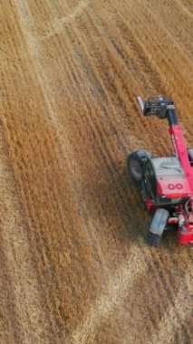 Modern kırmızı fren dümen yükleyicisi sahanın yanından hızla geçiyor ve saman topluyor. Küçük çevik makine tarlalarda saman balyaları topluyor. Üst Manzara. Dikey video