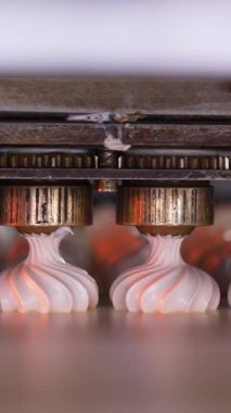 Metal başlıklar, taşıyıcı banttaki kremalı şekerlemeleri sıkmak için dönüyor. Yiyecek fabrikasında şekerleme üretimi. Dikey video