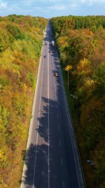 Yeni hız yolu boyunca giden otomobiller. Güneşli bir günde otobandan geçen güzel sonbahar ormanı. Hava görüntüsü. Dikey video