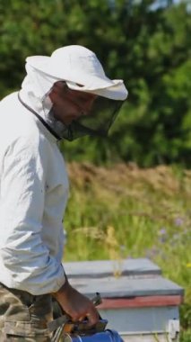 Yaz aylarında arı yetiştiriciliği. Arı kovanındaki bacayla birlikte çalışan profesyonel bir arıcı. Arıcılık işlemi. Dikey video