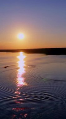 Doğada güzel bir gün batımı. Güneşli yol akşamları nehri yansıtır. Batan güneşe karşı gölün muhteşem manzarası. Dikey video