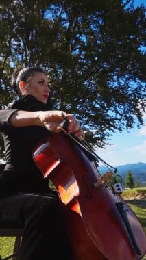 Solo müzik çalar doğada oturuyor. Siyah elbiseli kemancı kadın güzel dağlık bölgede enstrüman çalıyor. Dikey video