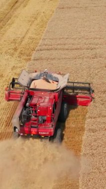 Tam kırmızı hasatçı buğdayı keser ve toz ve saman bulutları üretir. Güneşli yaz gününde tahıl hasat etmek. Yukarıdan bak. Dikey video