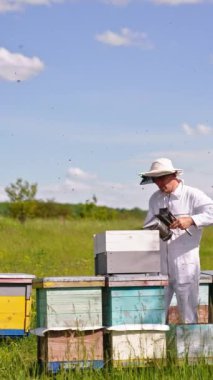 Apiarist, arı çiftliğinde sigara içiyor. Arı çiftliğinin üzerinde uçuşan kızgın arılar. Doğa geçmişi. Dikey video