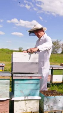 Beyaz üniformalı Apiculturist çerçeveyi almak için enstrüman kullanıyor. Doğanın arka planında tahtadan arı kovanları var. Dikey video